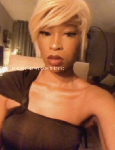 Escort Bella Rose  - Photo 10 №397