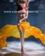 Avrora Playboy model